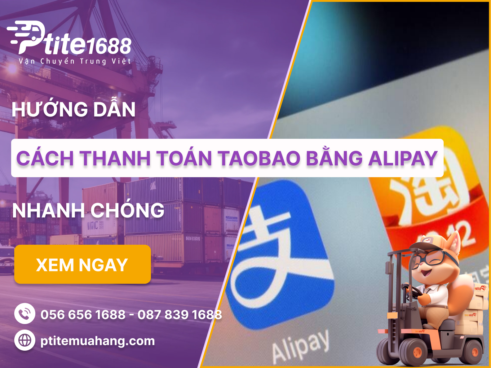 Ảnh bài viết