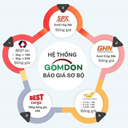 Ảnh bài viết