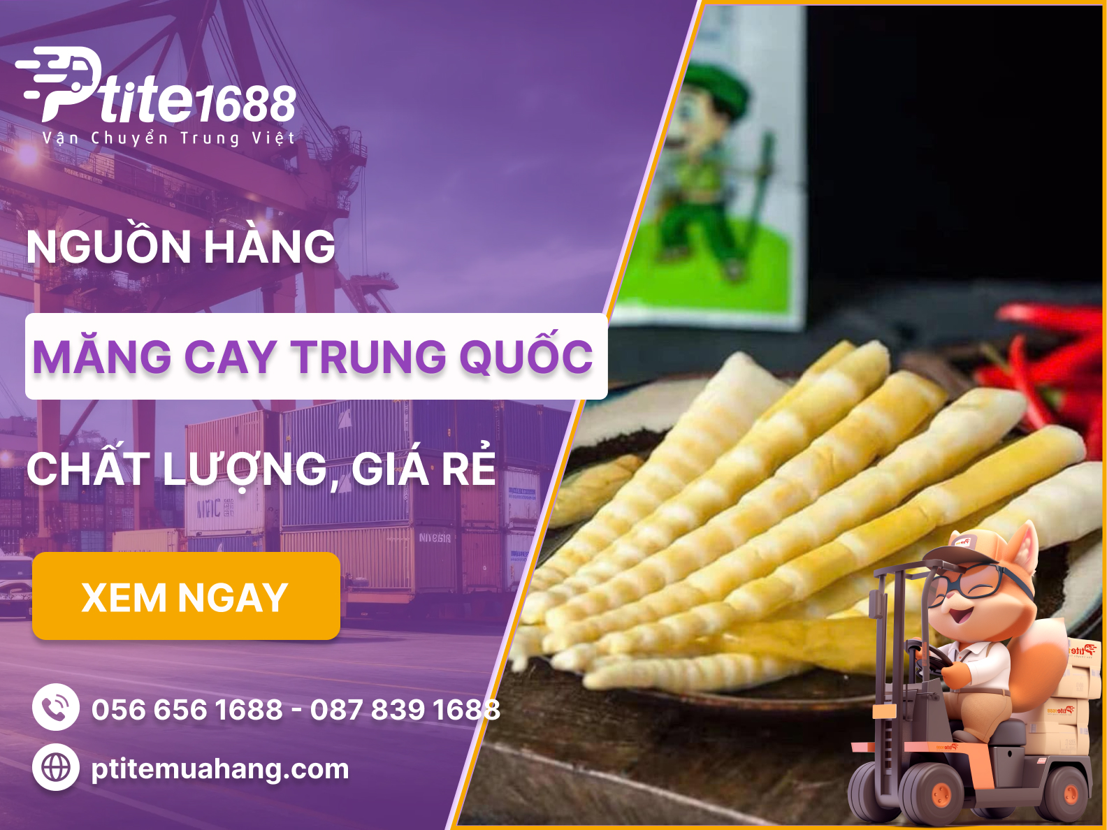 Ảnh bài viết
