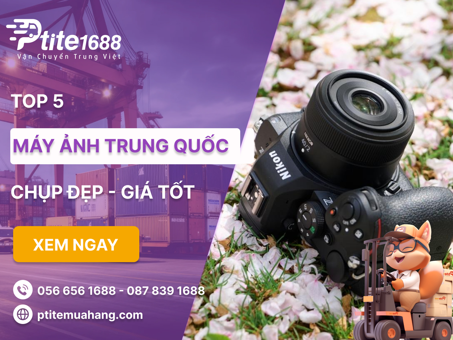 Ảnh bài viết
