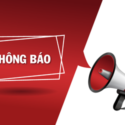 Ảnh bài viết
