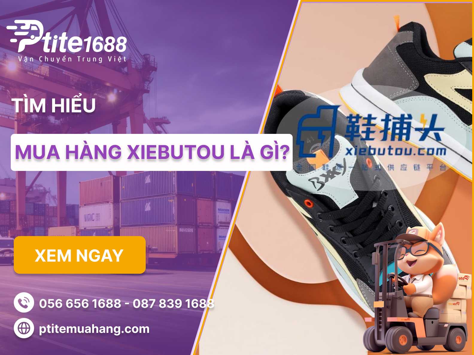 Ảnh bài viết
